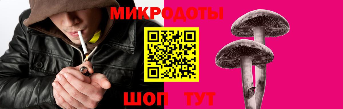 Зеленодольск  Псилоцибиновые грибы Magic Shrooms  Вход с VPN 